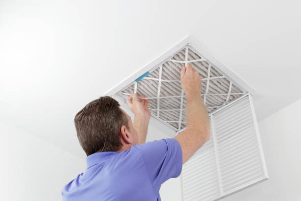 Best Mold and Mildew Removal from Ducts in Edgewood, KY